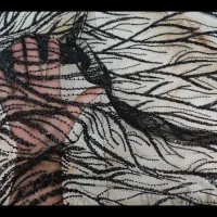 پارچه مجلسی