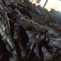 تولید و پخش زغال و هیزم