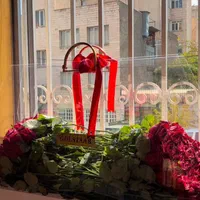 گل رز هلندی|گل و گیاه طبیعی|تهران, دریا|دیوار