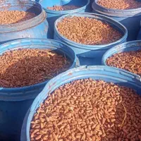 حراج هسته خرما تناژ