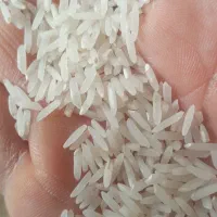 برنج طارم محلی دانه بلند خوزستان|خوردنی و آشامیدنی|دزفول, |دیوار