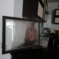 قاب عکس