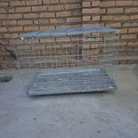 قفس جوجه گیری کبوتر