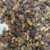 کشمش مخصوص آبگیری