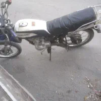 احسان شکاری 88سنددار