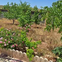 فروش زمین باغ شهری ۱۰۰۰متری خان زنیان همت آباد|فروش زمین و ملک کلنگی|شیراز, قلات|دیوار