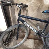 دو چرخه|دوچرخه، اسکیت، اسکوتر|گنبد کاووس, |دیوار