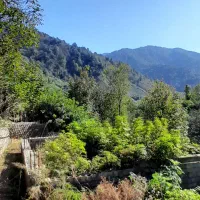 زمین-کوهپایه-ای-مسکونی-پلاک-صفر-جنگل-پروانه-ساخت