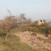 اجاره کوره ذغال و استخر ماهی|اجارهٔ دفتر صنعتی، کشاورزی، تجاری|سنگر, |دیوار