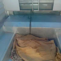 فروش وانت مدل ۸۷|خودرو سواری و وانت|کاشان, لتحر|دیوار