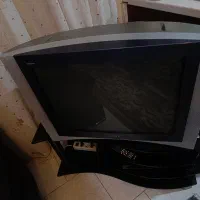 تلویزیون