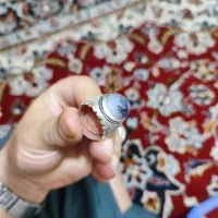 شجر تک|جواهرات|سنندج, |دیوار