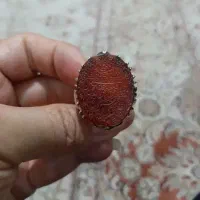 انگشتر نقره خط زیبا دست رکاب دست ساز