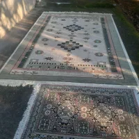 قالی ۶ متری وقالیچه ماشینی|فرش|آستانه اشرفیه, |دیوار