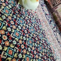 عروس هلندی لوتینو|پرنده|تهران, زمزم|دیوار