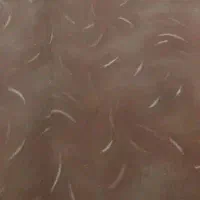 موکت‌سالم‌سه‌تکه‌کلا‌۲۸‌متر