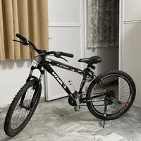 دوچرخه ویوا