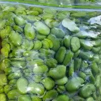 سبزی ذرت نخود سبزی آماده مصرف باقالا لوبیا|خوردنی و آشامیدنی|تهران, افسریه|دیوار
