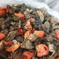 پخش عمده گل گاوزبان گلرنگ زعفران وگردنخل بهارنارنج|خوردنی و آشامیدنی|باغستان, |دیوار