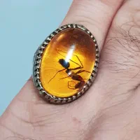 انگشتر موکل