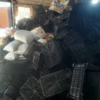 سبدمیوه وکارتن|عمدهفروشی|هشتگرد, شهرک اقدسیه|دیوار