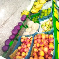 اجاره مغازه ۱۵ متری در خانی آباد نو شمالی|اجارهٔ مغازه و غرفه|تهران, خانی آباد نو شمالی|دیوار
