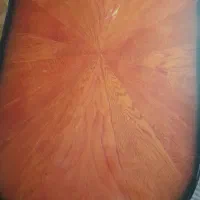 میزو صندلی در حد نو