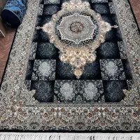 قالی در حد نو|فرش|شیراز, شهرک گلستان|دیوار