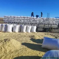 کاهکوب کمباین|عمدهفروشی|سلامی, |دیوار