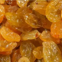 فروش یک تن سبزه انگوری