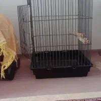 قفس کاسکو و دو عدد قفس کوچیک .قیمت توافقی