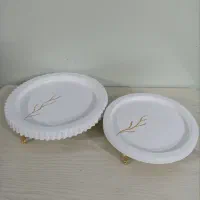 ظروف سرامیکی