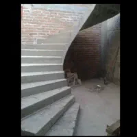 پیشه ومهارت