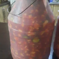 سرکه سیب ترشی سالاد فصل|خوردنی و آشامیدنی|پاکدشت, شهرک امام رضا|دیوار