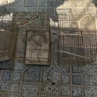 قفس|لوازم جانبی حیوانات|بوشهر, |دیوار