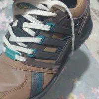 اکویتمنت کورتکس