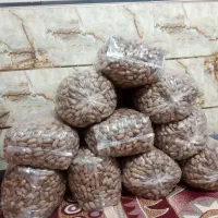خرما سفید|عمده‌فروشی|بم, |دیوار