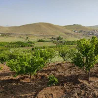 زمین کشاورزی 1900متری در روستای قلیان|فروش زمین و ملک کلنگی|سنندج, |دیوار