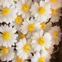 شمع بابونه|صنایع دستی و سایر لوازم تزئینی|تهران, ستارخان|دیوار