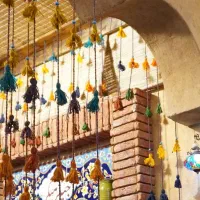 سالن دار خانم