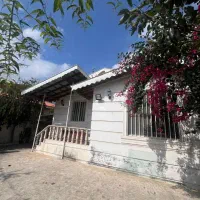 ویلا-جنگلی-سندتک-برگ-باساحل5-دقیقه