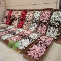 شاخه شکوفه|گل مصنوعی|قم, نیروگاه|دیوار