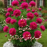 مدارک گم شده