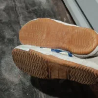 کفش سالنی تایگر