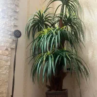 درختچه مصنوعی