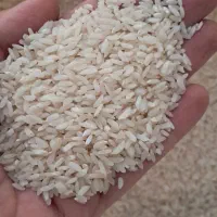 برنج عنبربو