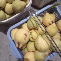 هیوا کیلویی ۹۰ تومن