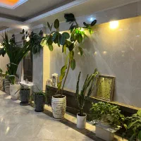 پردیس-خیابان-طراوت-جنوبی-غرق-نور-وام-تسویه