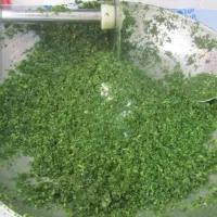سبزی خورشتی