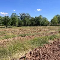 باغ درکهریز در متراژ مختلف|فروش زمین و ملک کلنگی|ابهر, |دیوار